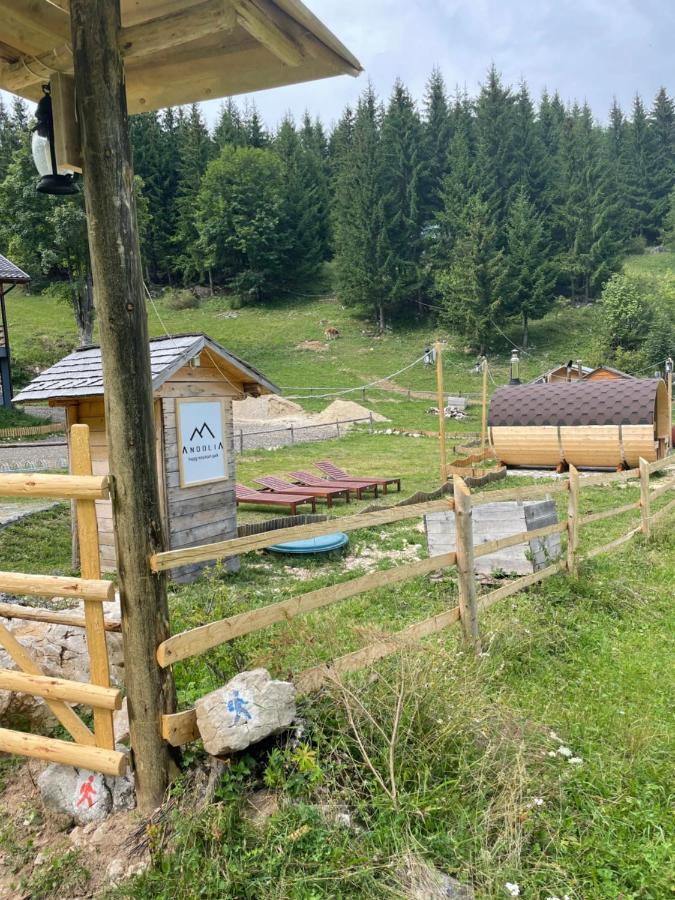 Andolia Villa Moeciu De Sus Eksteriør bilde