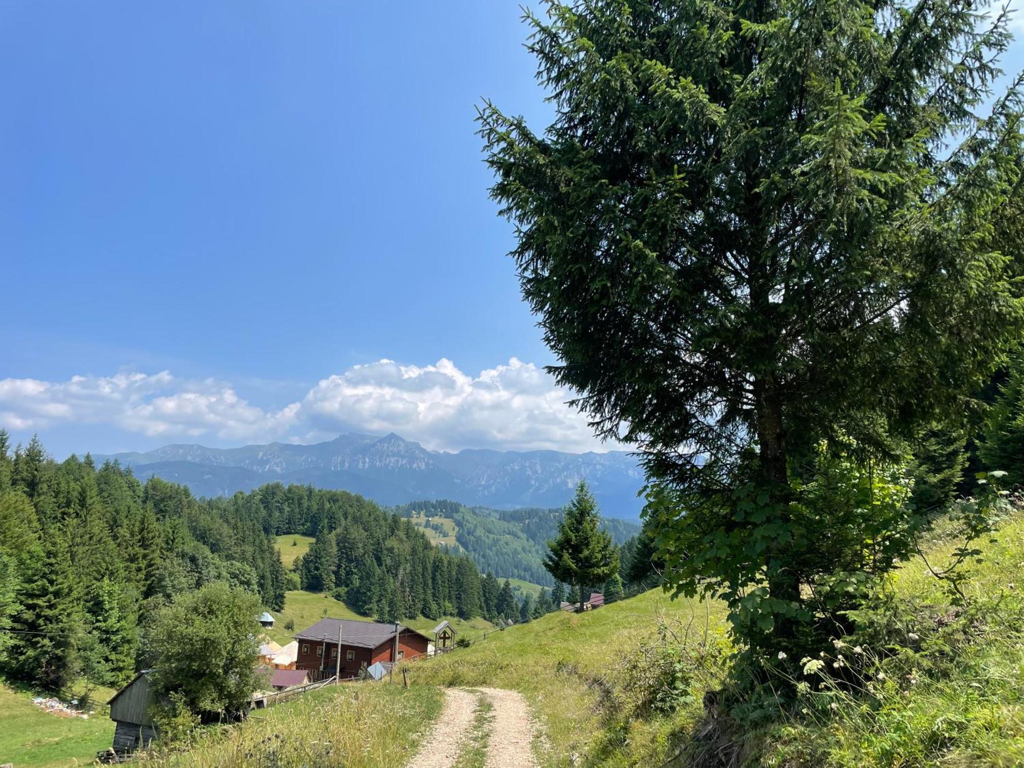Andolia Villa Moeciu De Sus Eksteriør bilde