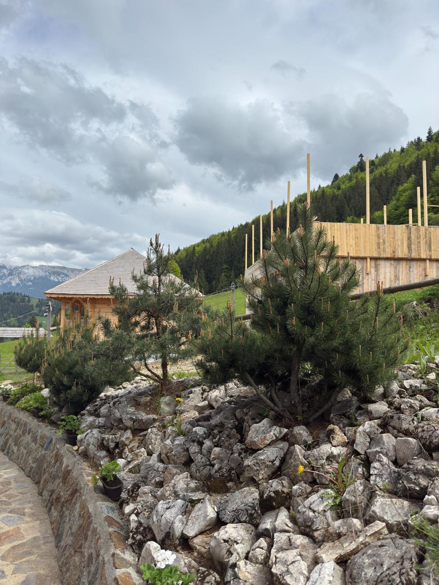 Andolia Villa Moeciu De Sus Eksteriør bilde