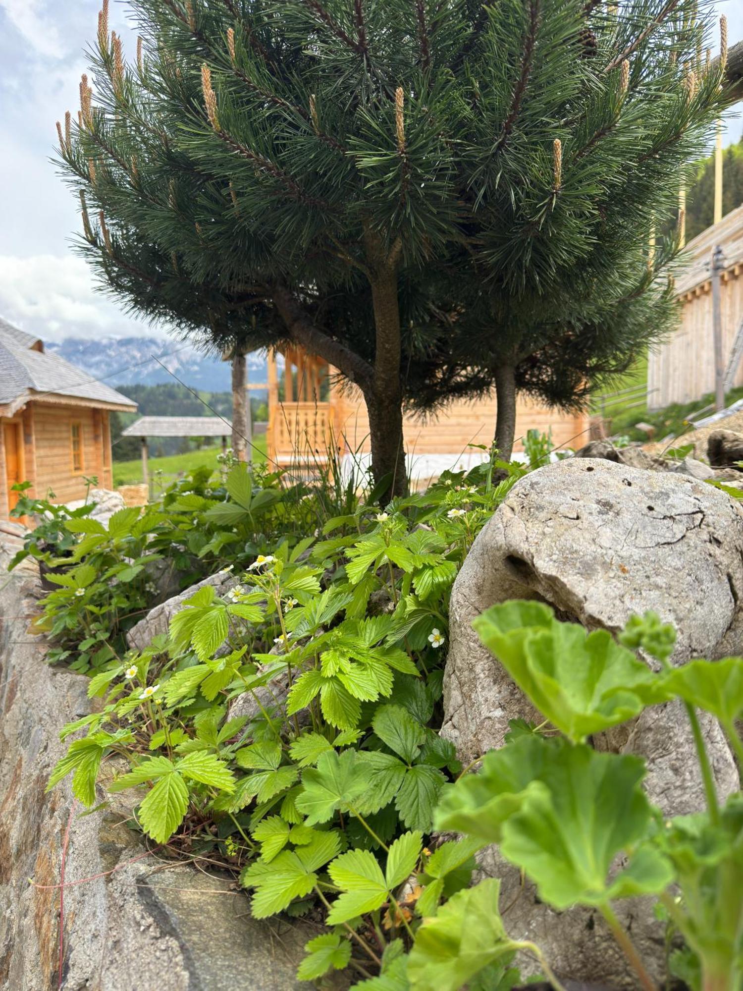 Andolia Villa Moeciu De Sus Eksteriør bilde